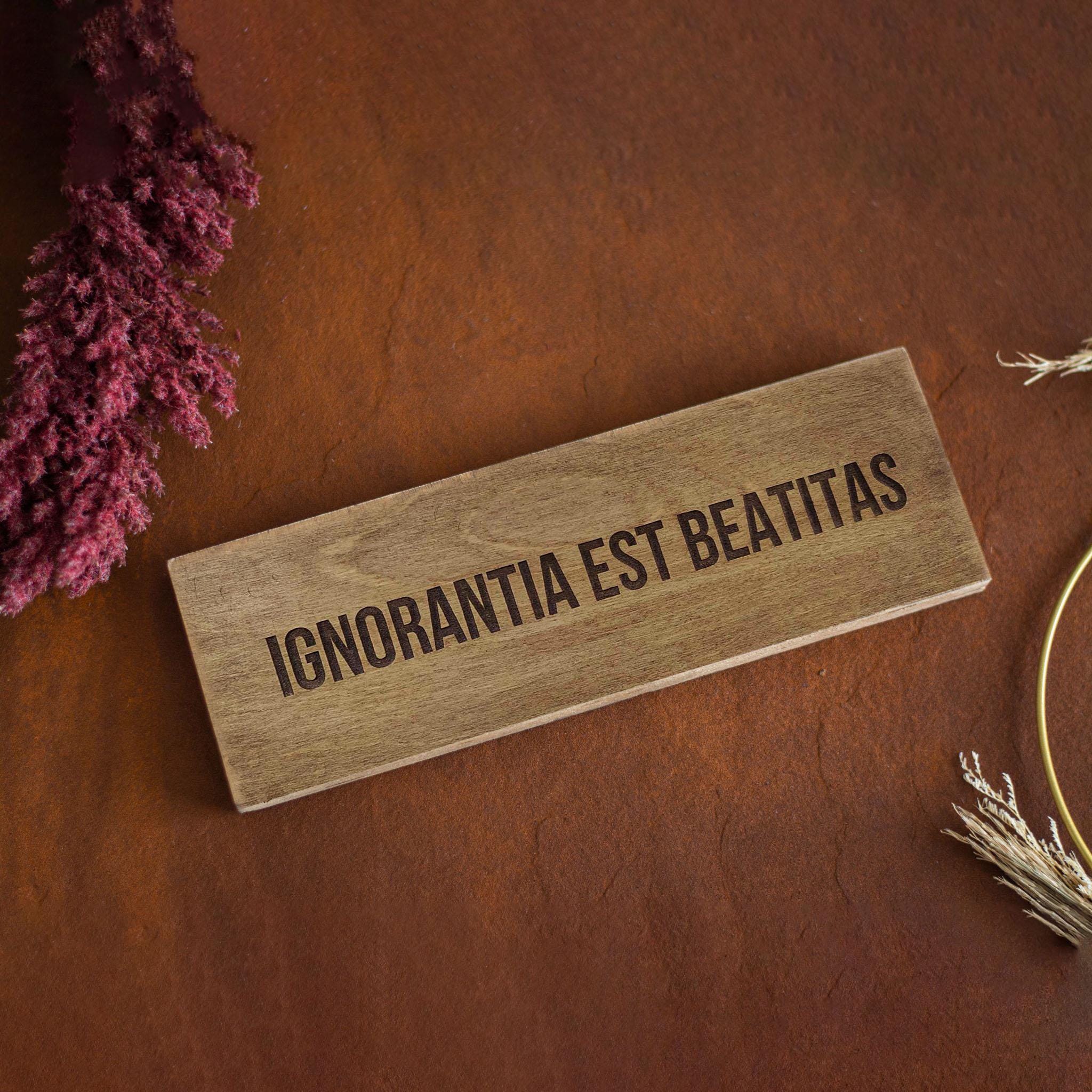 Personalisiertes Motivationsschild aus Holz mit Wunschtext – Produktansicht 9